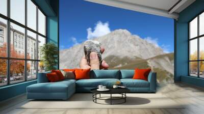 hand of the geologist holding a clear stone and the mountain called Gran Sasso in the background in the Abruzzo region in central Italy Wall mural