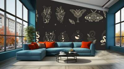 abstract illustration of mystical night. image of a snake, hands, phases of the moon and sun. sacred Wall mural