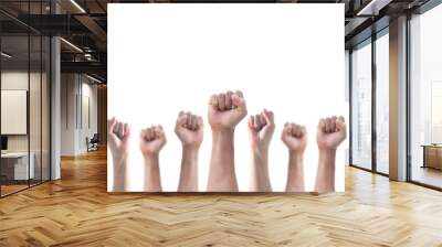 Hands with clenched fist of people crowd (men and women) isolated on a white background with clipping path for social justice and human rights concept Wall mural