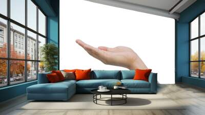 close up adult man hand gesturing as show or offer sign isolated on transparent background for png concept Wall mural