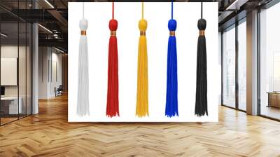 Five different color tassels isolated on white background Wall mural