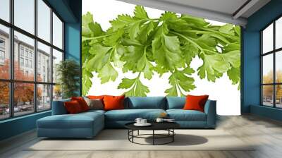 Isolated white background image of fresh a herb, a popular spice used in cooking, aromatic and healthy. Wall mural