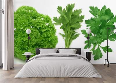 Isolated white background image of fresh parsley, a herb, a popular spice used in cooking, aromatic and healthy. Wall mural