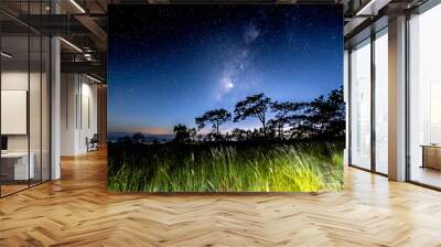 Landscape Milky Way with starry night in blue sky over the pine trees after sunset, Phu Kradueng National Park, Loei , Thailand Wall mural