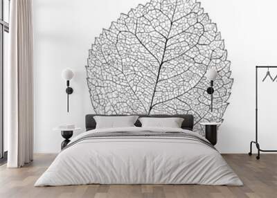 Leaf skeleton Wall mural