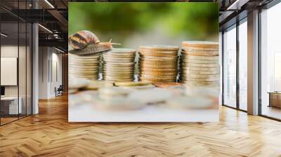 Brown snail climbing the pile of coins on white background ,Business and finance ,Victory and success from patience ,Slow economic growth Wall mural