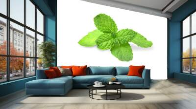 peppermint isolated on white background. Wall mural