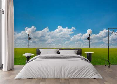 Rice field blue sky with clouds Wall mural