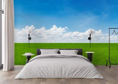 Rice field blue sky with clouds Wall mural