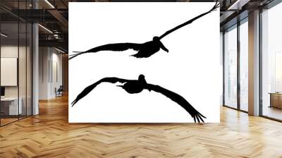 Black isolated silhouettes of two pelicans flying Wall mural