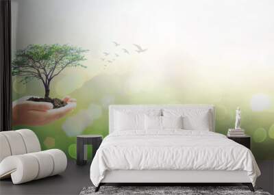 International day of forest concept: Human hands holding big tree over green forest background Wall mural