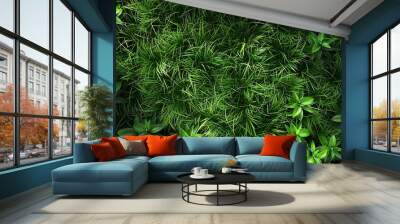 Green plant grass background image Wall mural