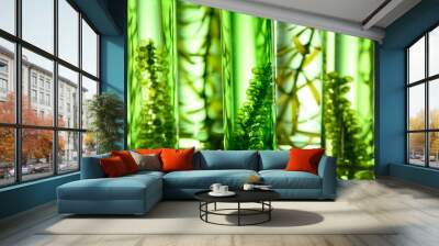 algae biofuel tube in biotech laboratory, Photobioreactor in lab algae fuel biofuel industry Wall mural