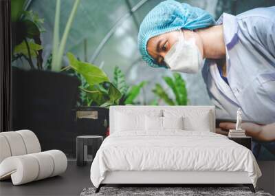 biology scientist working to research a growth plant in agriculture greenhouse, nature organic science technology or biotechnology in botany laboratory, people examining vegetable for food industry Wall mural