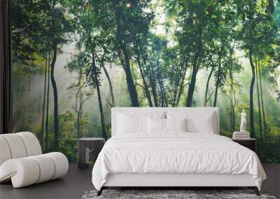 Earth Day eco concept with tropical forest background, natural forestation preservation scene with canopy tree in the wild, concept on sustainability and environmental renewable Wall mural