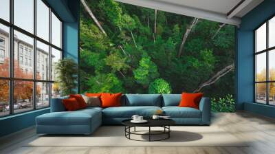 Earth Day eco concept with tropical forest background, natural forestation preservation scene with canopy tree in the wild, concept on sustainability and environmental renewable Wall mural