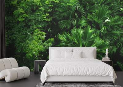 earth day eco concept with tropical forest nature scene background, natural forestation preservation Wall mural