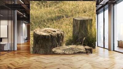 Empty old wooden table with chairs made of logs in the begining of autumn Wall mural