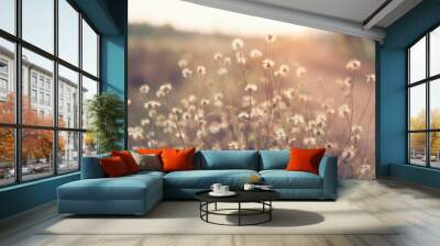 flower with sunset, tropical plant Wall mural