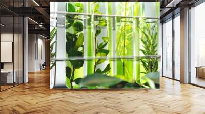 medicine biology laboratory of organic plant experiment test in glasses tube of cosmetic chemistry research medicals, chemical biotechnology science of nature leaf and green herbal oil technology Wall mural