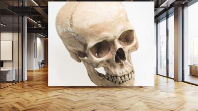 Model of human skull, isolated on white Wall mural