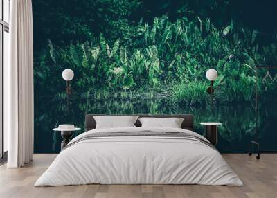 natural green filter, tropical forest with lake Wall mural