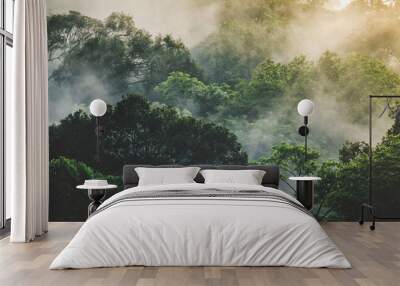 panorama banner background of tropical forest landscape scene for using in concept of environmental  Wall mural