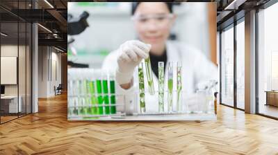 plant in medical pharmacy science research at chemical medicine laboratory for pharmaceutical industry, chemistry development scientist using equipment for health technology experiment or biology drug Wall mural