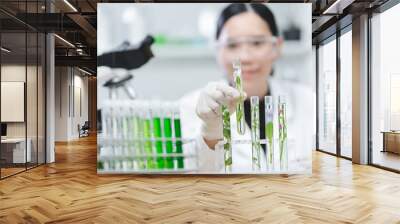 plant in medical pharmacy science research at chemical medicine laboratory for pharmaceutical industry, chemistry development scientist using equipment for health technology experiment or biology drug Wall mural