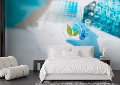 Scientist analyzing and dropping a sample into a glassware, Medicine science experiments containing chemical liquid in laboratory on glassware, innovative and technology. Wall mural