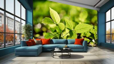 tree background in concept of earth sustainability resource and green nature environment, environmental ecology for save the global planet protection or eco renewable energy, plant conservation Wall mural