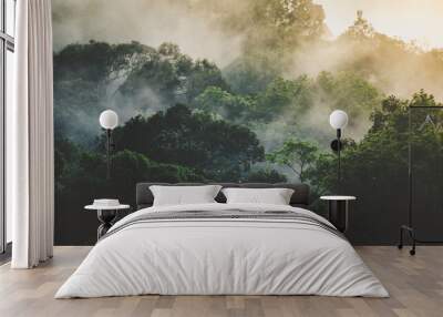 tropical rainforest landscape, forest scenic with jungle tree in green nature, beautiful wild wood foliage plant over the mountain, leaf with rain water, environment park background for travel Wall mural