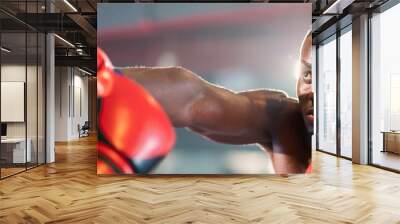 Young muscular african american male boxer looking at camera, wearing boxing gloves, standing isolated over grey background. Sports, workout and bodybuilding concept, confident african american boxer Wall mural