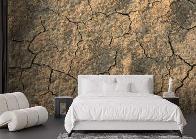 Dry soil texture background Wall mural