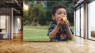 Portrait of half African half Asian 4 year old child happy to eat an apples at outdoor park, healthy fruit for children Wall mural