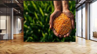 Hands holding a pile of yellow grains, symbolizing agriculture and harvest in a lush green field. Wall mural