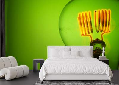 Close up glowing light bulb on green background Wall mural