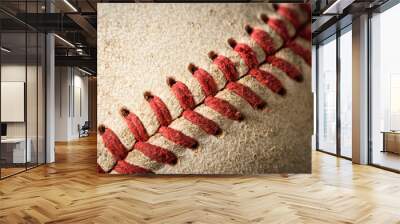 Closeup of a dirty baseball Wall mural