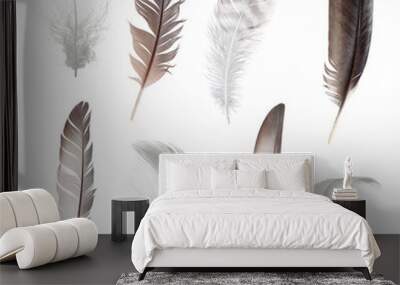 Collection of different feathers isolated on white background Wall mural