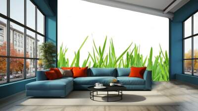 green grass isolated Wall mural