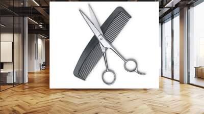 Hair cutting shears and comb isolated on white Wall mural