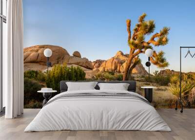 Joshua Tree National Park, Mojave Desert, California Wall mural