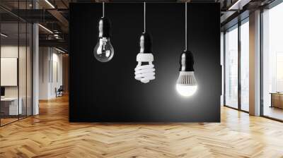 Light bulb,energy saver bulb and LED bulb on black Wall mural