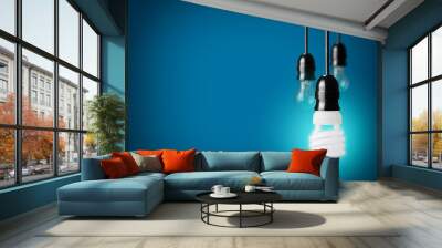 Light bulbs and energy saver bulb on blue background Wall mural