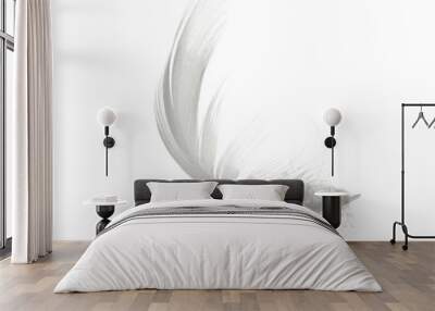 white feather isolated Wall mural