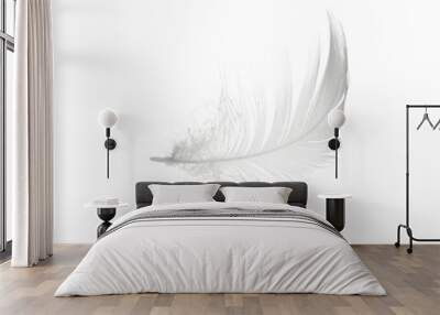 white feather isolated Wall mural