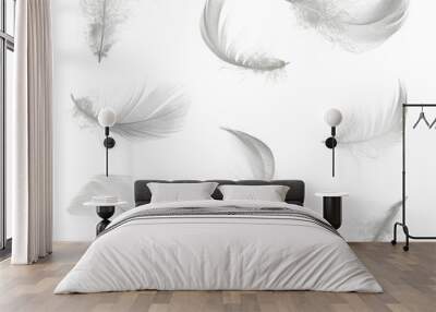 white feather set isolated Wall mural