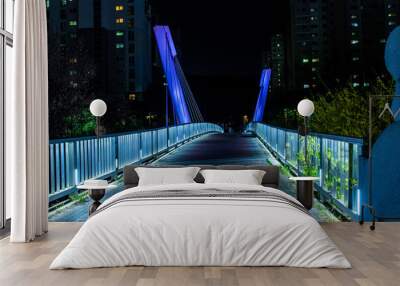 The beautiful night view of over bridge at spring times. Wall mural