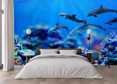 Background of dolphins swimming in beautiful coral reef with marine tropical fish Wall mural