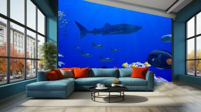 Panorama background of beautiful coral reef with marine tropical fish in central pacific that Whale shark visited Wall mural